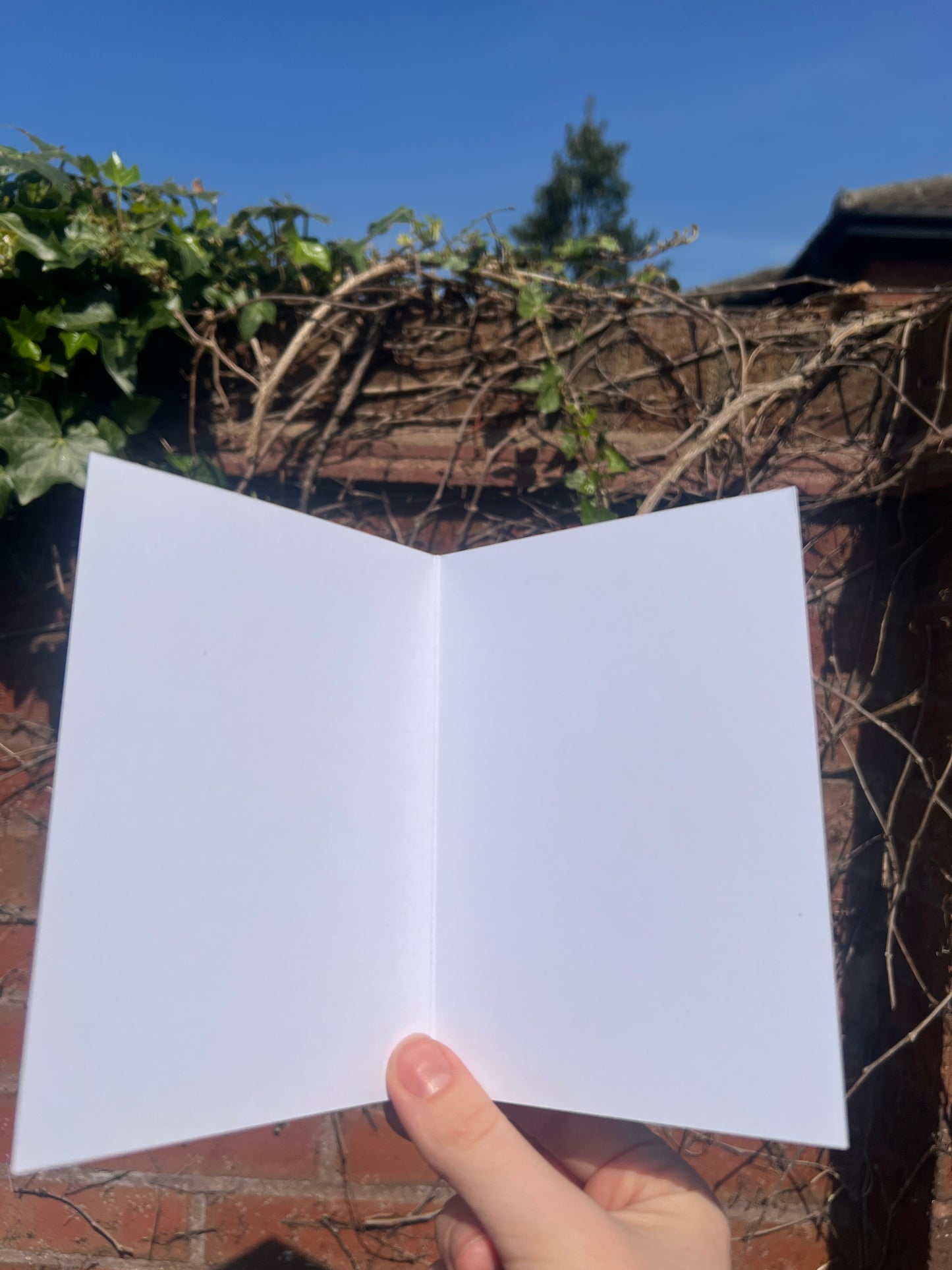 HAPPY BIRTHDAY Clown. Birthday Card